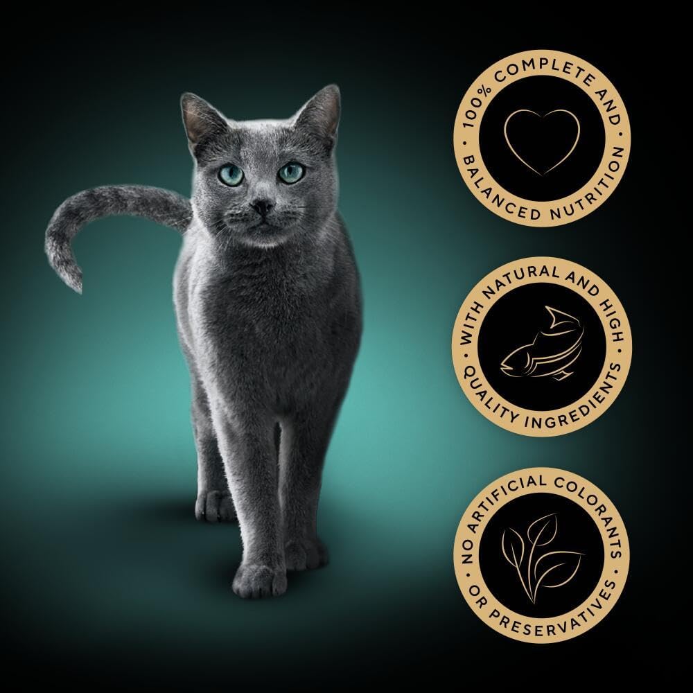 SHEBA - Adult Wet Cat Food Pouches - 72 x 85 g - Fish Collection - Bulk Cat Food Megapack - 72 Jelly Pouches