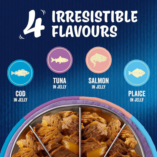 FELIX As Good As it Looks Adult Wet Cat Food Ocean Feasts in Jelly Plaice, Salmon, Tuna, Cod 120 x 85g Pouches