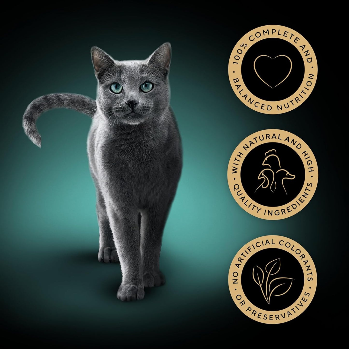 Sheba Select Slices in Gravy – Poultry Selection – Wet cat food pouches for adult cats – 72 x 85g pack