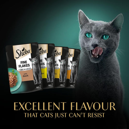Sheba Select Slices in Gravy – Poultry Selection – Wet cat food pouches for adult cats – 72 x 85g pack
