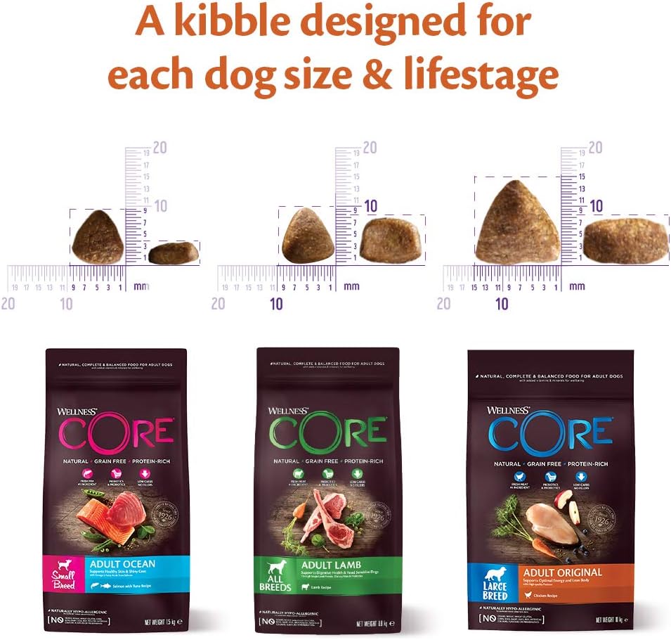 Wellness CORE Lamb 10 kg, Lamb – Dry Dog Food for All Dog Breeds, Grain-Free, Natural, Hypoallergenic, Protein-Rich, High Meat Content, Supports Healthy Digestion