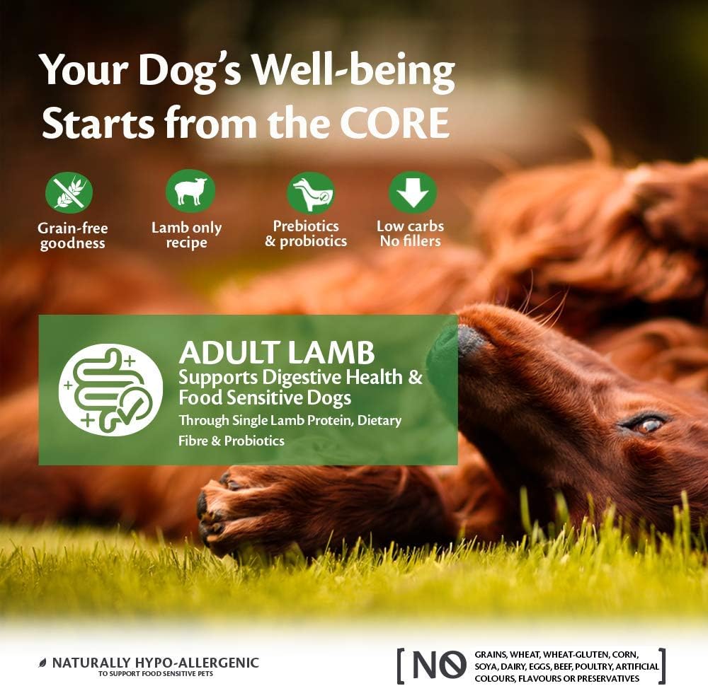 Wellness CORE Lamb 10 kg, Lamb – Dry Dog Food for All Dog Breeds, Grain-Free, Natural, Hypoallergenic, Protein-Rich, High Meat Content, Supports Healthy Digestion
