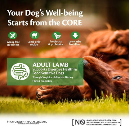 Wellness CORE Lamb 10 kg, Lamb – Dry Dog Food for All Dog Breeds, Grain-Free, Natural, Hypoallergenic, Protein-Rich, High Meat Content, Supports Healthy Digestion