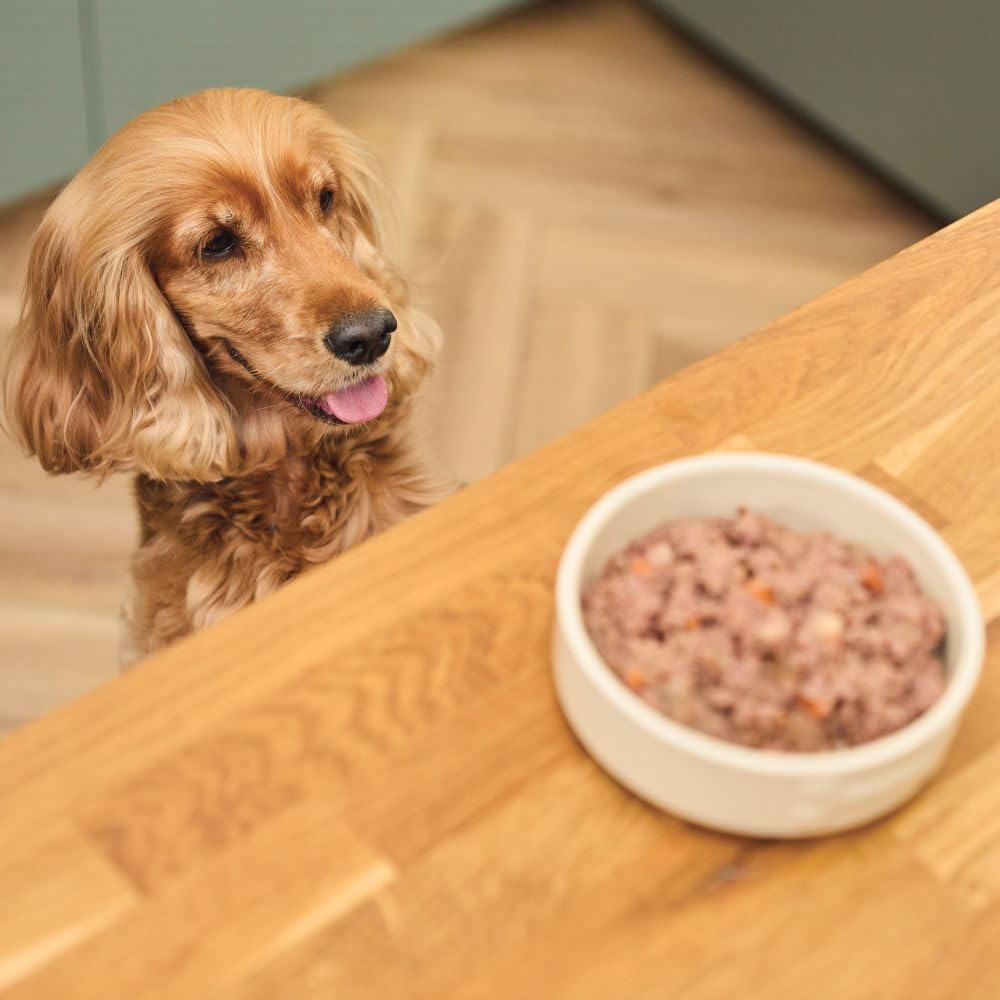 Lily's Kitchen Natural Adult Wet Dog Food Tins Grain-Free Recipe Variety Pack 12x400g
