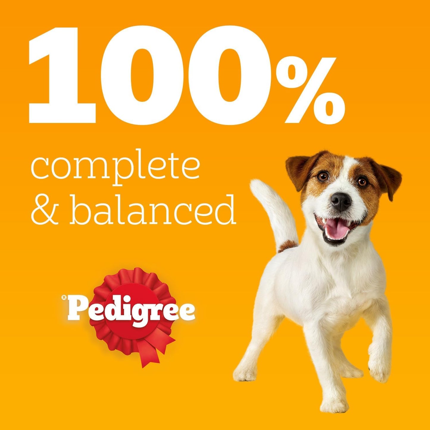 Pedigree Adult Dog Wet Food Pouch Mixed Selection in Gravy, 40x100g