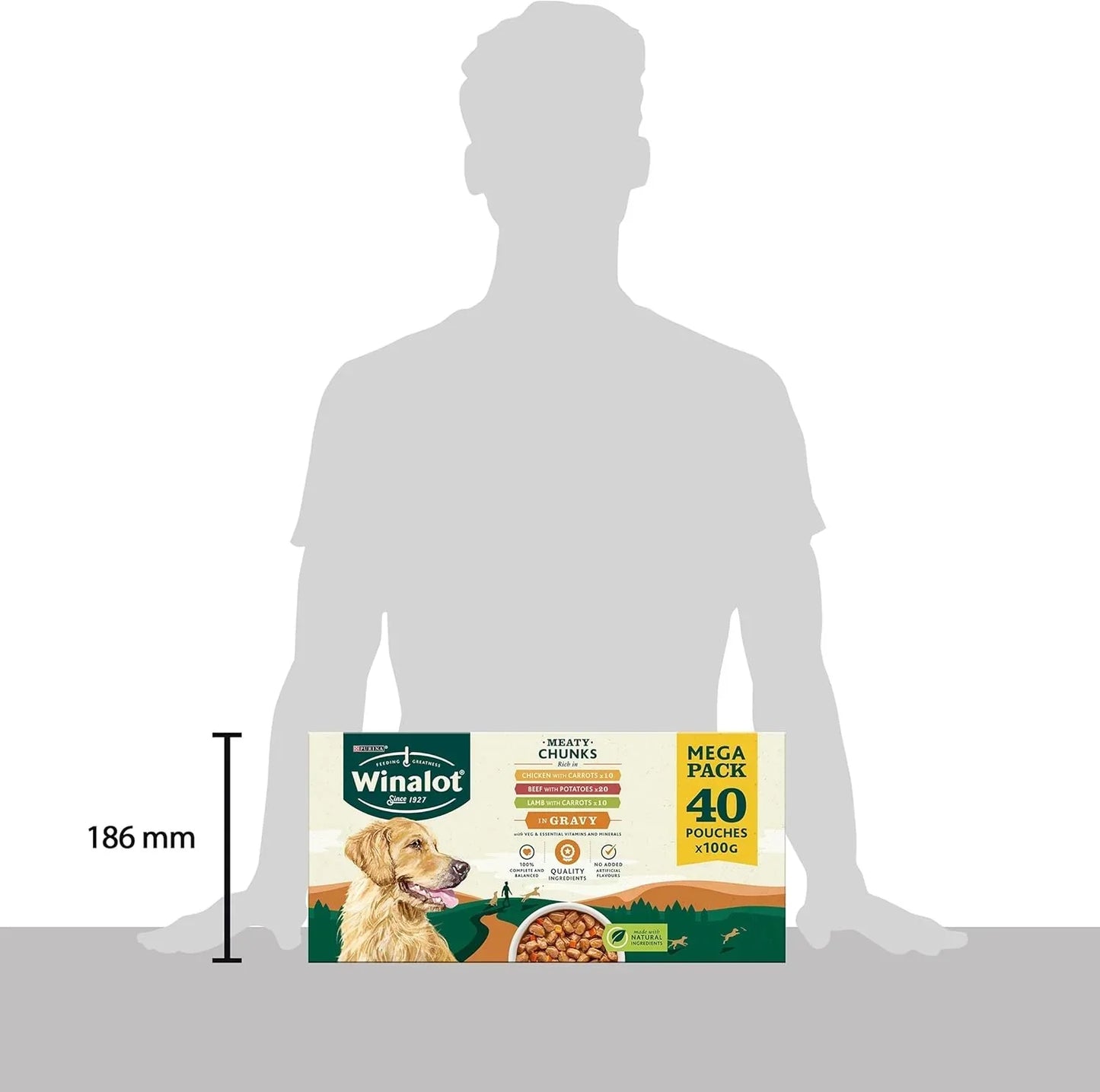 WINALOT Wet Dog Food Pouches – 40 x 100g, Meaty Chunks in Savory Gravy