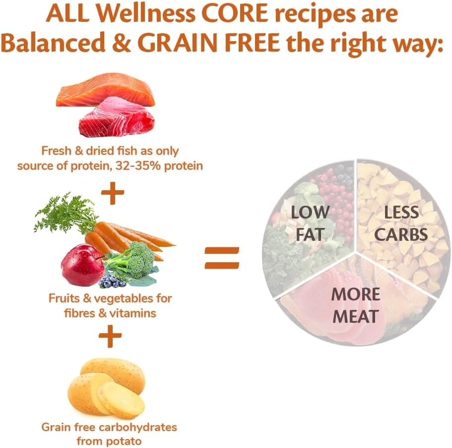 Wellness CORE Ocean 10 kg, Salmon & Tuna – Dry Dog Food for Medium to Large Breeds, Grain-Free, Natural, Hypoallergenic, Protein-Rich, High Fish Content, Supports Healthy Skin & Shiny Coat