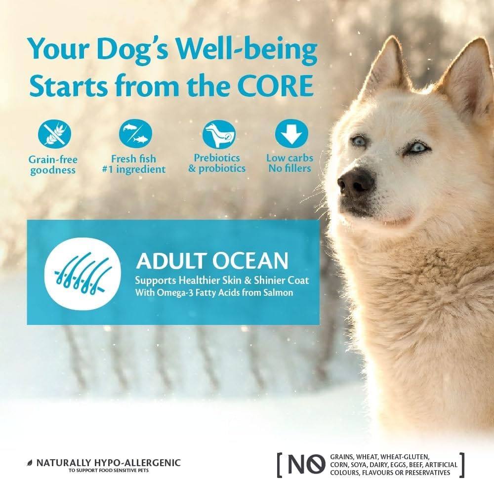 Wellness CORE Ocean 10 kg, Salmon & Tuna – Dry Dog Food for Medium to Large Breeds, Grain-Free, Natural, Hypoallergenic, Protein-Rich, High Fish Content, Supports Healthy Skin & Shiny Coat