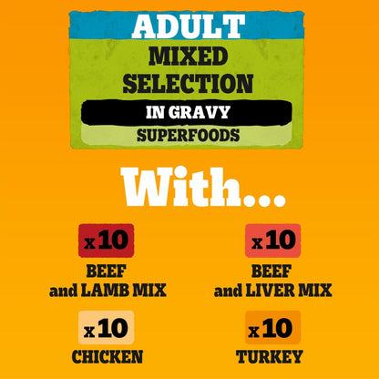 Pedigree Adult Dog Wet Food Pouch Mixed Selection in Gravy, 40x100g