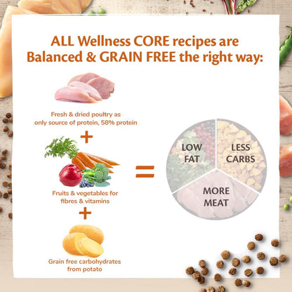 Wellness CORE Sterilised Original 4 kg, Chicken & Turkey – Dry Cat Food for Sterlised/Indoor Cats, Grain-Free, Natural, Hypoallergenic, Protein-Rich, Supports Healthy Weight Management