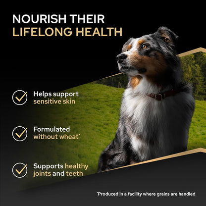 PRO PLAN Medium Sensitive Skin Adult 1+ Dry Dog Food Salmon 14kg Pack