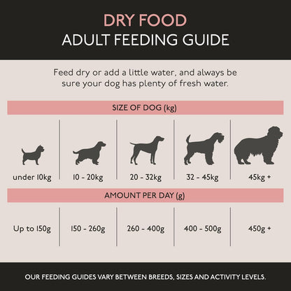 Skinners Field & Trial Salmon & Rice 15kg , Complete Dry Adult Working Dog Food, Gentle Digestion, Glossy Coat
