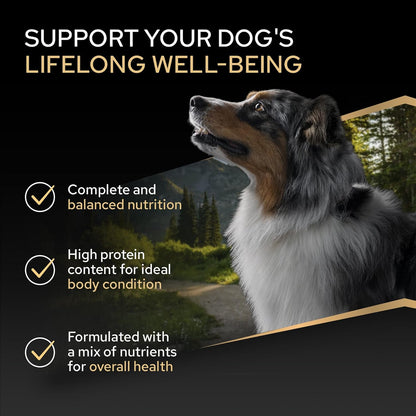 PRO PLAN Medium Adult Everyday Nutrition Chicken Dry Dog Food 14kg