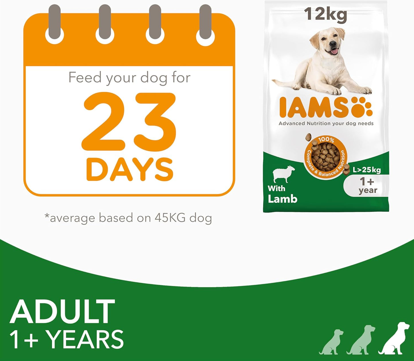 IAMS Adult Large Complete Dry Dog Food Lamb 12kg - With DentalCare System