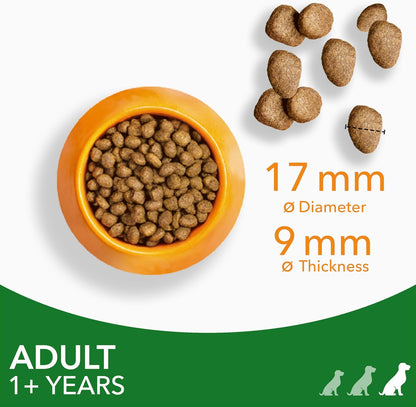 IAMS Adult Large Complete Dry Dog Food Lamb 12kg - With DentalCare System