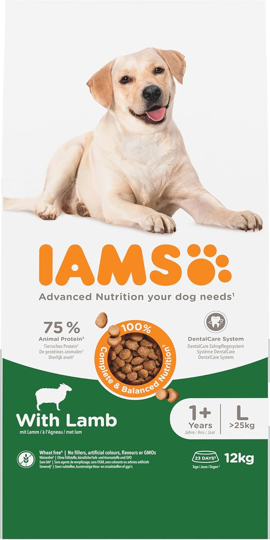 IAMS Adult Large Complete Dry Dog Food Lamb 12kg - With DentalCare System