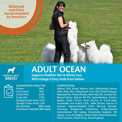 Wellness CORE Ocean 10 kg, Salmon & Tuna – Dry Dog Food for Medium to Large Breeds, Grain-Free, Natural, Hypoallergenic, Protein-Rich, High Fish Content, Supports Healthy Skin & Shiny Coat