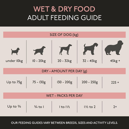 Skinners Field & Trial Salmon & Rice 15kg , Complete Dry Adult Working Dog Food, Gentle Digestion, Glossy Coat