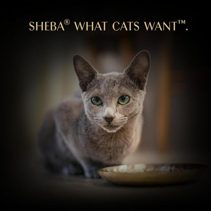 SHEBA Filets Adult Cat Food With Chicken in gravy 32x60g Tray
