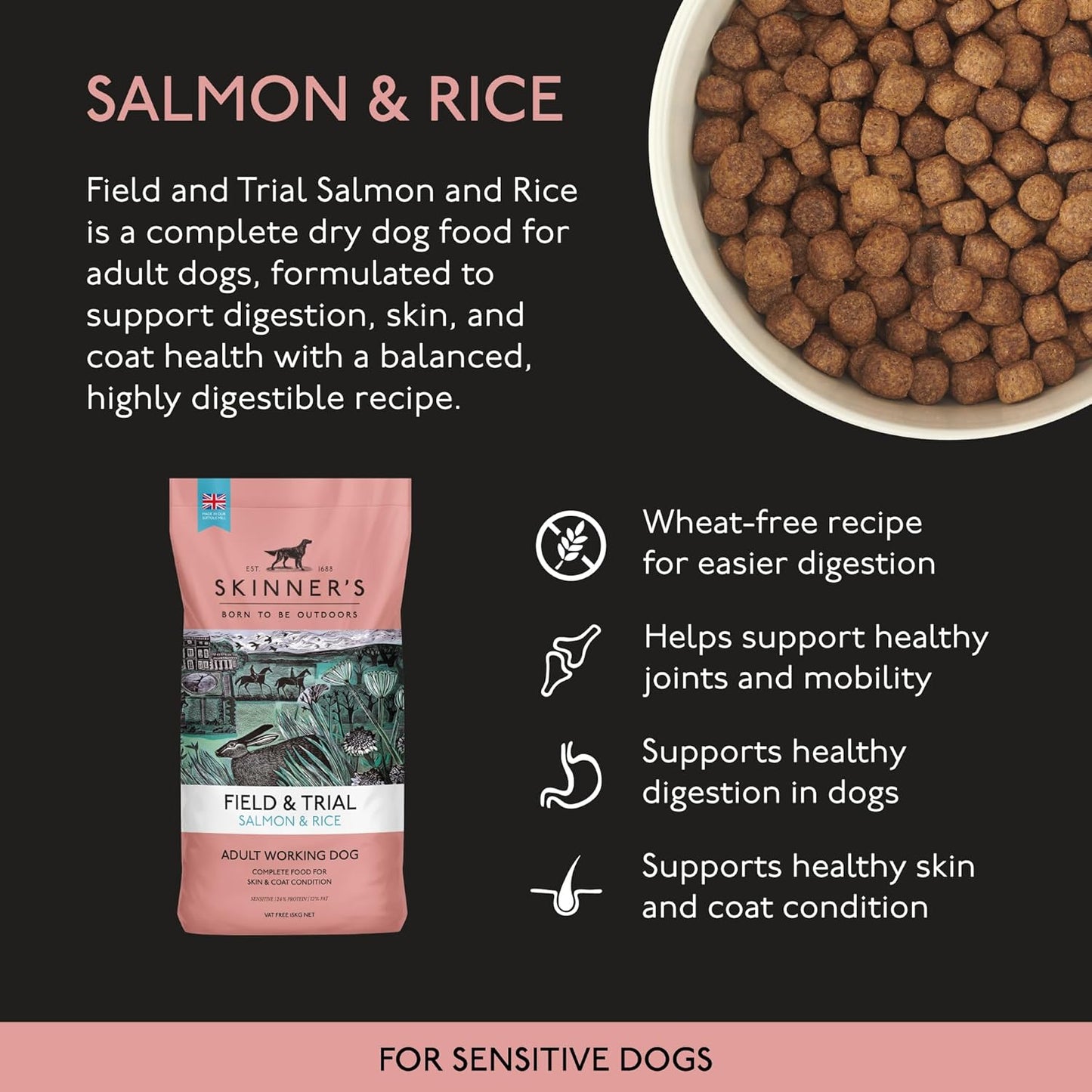 Skinners Field & Trial Salmon & Rice 15kg , Complete Dry Adult Working Dog Food, Gentle Digestion, Glossy Coat