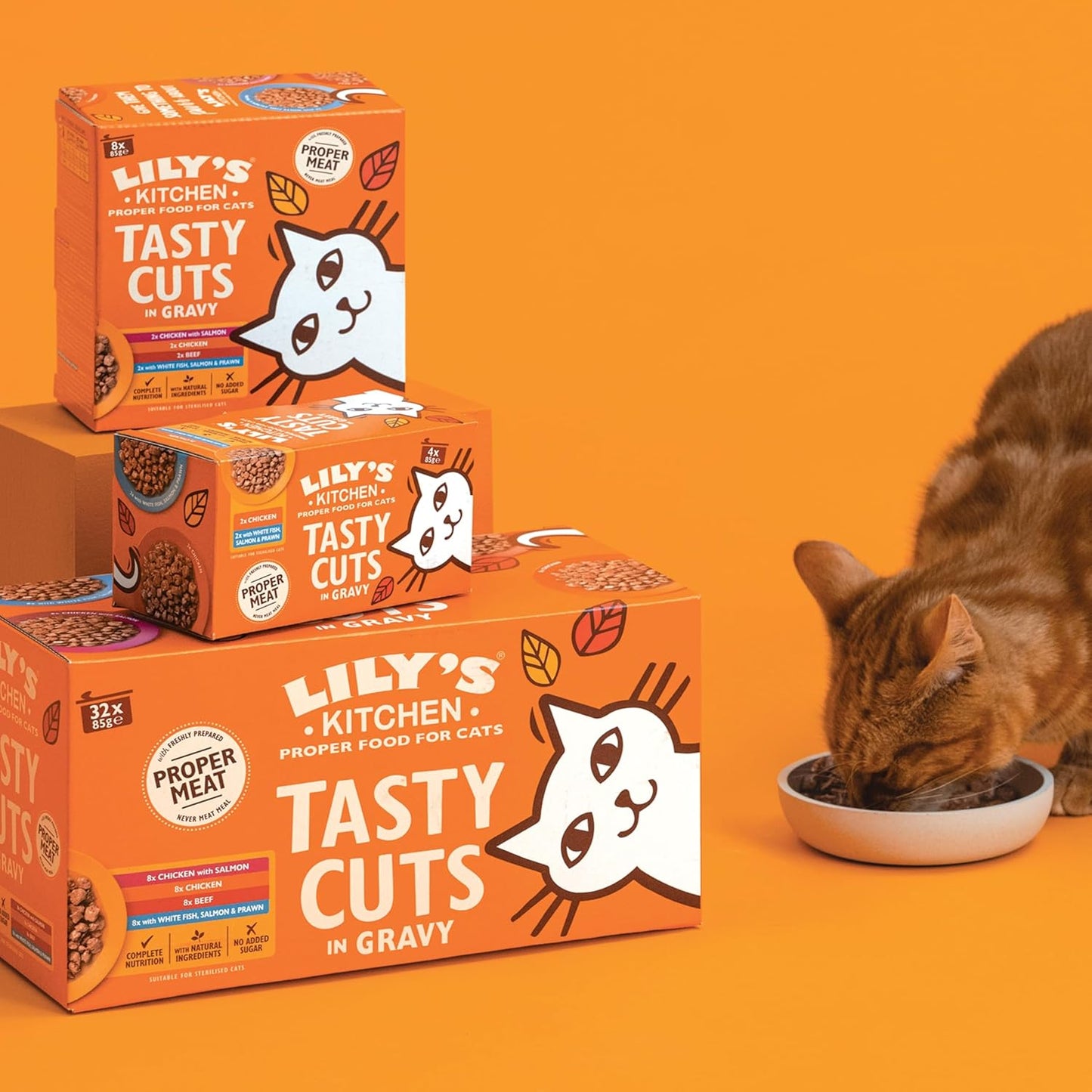 Lily’s Kitchen Made with a Natural Ingredients Tasty Cuts in Gravy with Chicken Adult Wet Cat Food 18 x 85g Tin