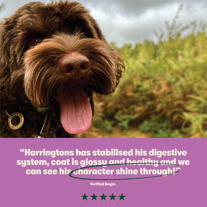 Harringtons Complete Dry Adult Dog Food Lamb & Rice 18kg - Made with All Natural Ingredients (Packaging may vary)