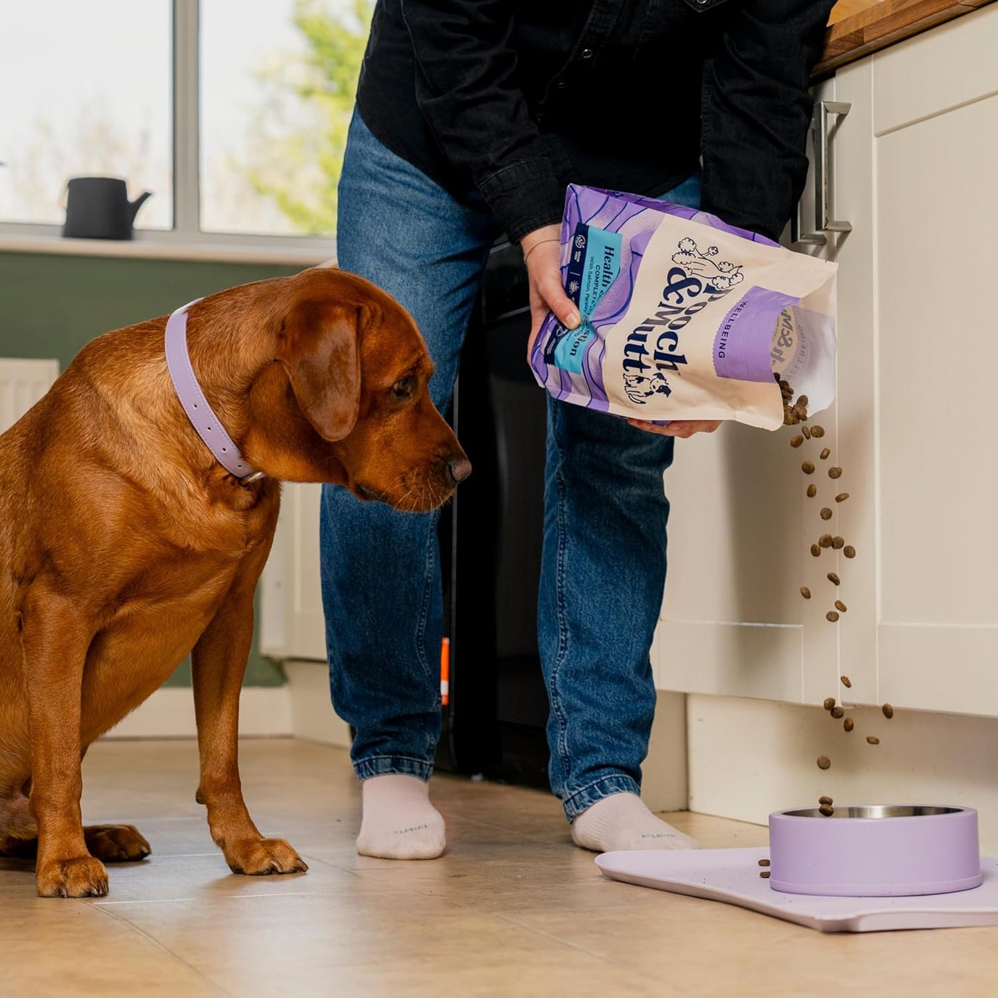 Pooch & Mutt - Health & Digestion, Complete Dry Dog Food (Grain Free), Salmon and Sweet Potato, 10kg