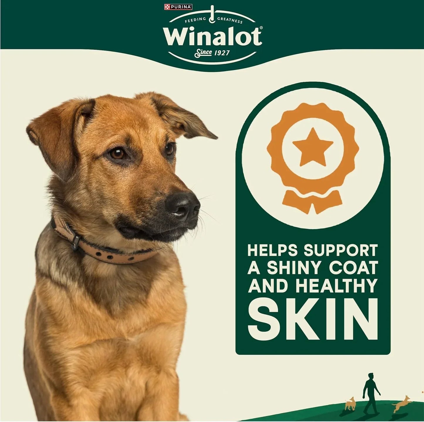 WINALOT Wet Dog Food Pouches – 40 x 100g, Meaty Chunks in Savory Gravy