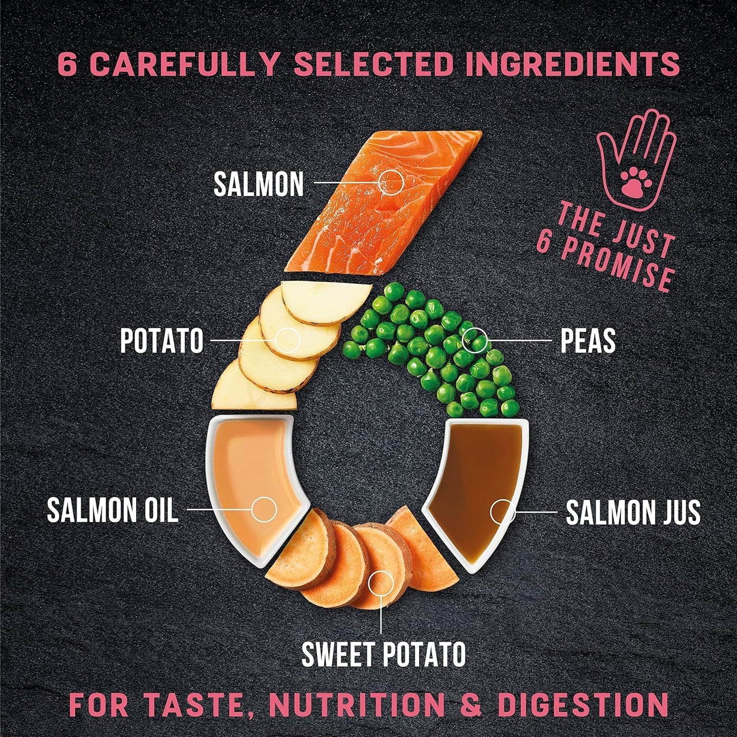 Harringtons Just 6 Complete Grain Free Dry Adult Dog Food Salmon 12kg - With Added Fresh Baked Bites