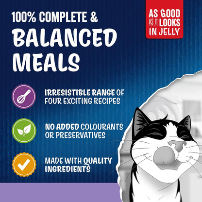 FELIX As Good As it Looks Kitten Mixed Selection in Jelly Wet Cat Food 40x85g