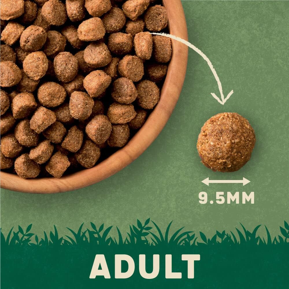 Harringtons Complete Dry Adult Dog Food Salmon & Potato 12kg - Made with All Natural Ingredients