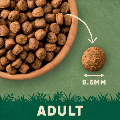 Harringtons Complete Dry Adult Dog Food Salmon & Potato 12kg - Made with All Natural Ingredients
