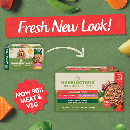 Harringtons Complete Wet Tray Grain Free Hypoallergenic Adult Dog Food Classics Bumper Pack 16x400g