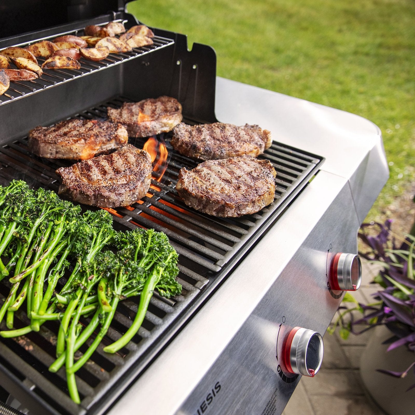 genesis e 315 gas grill (natural gas) genesis e 315 gas grill (natural gas)