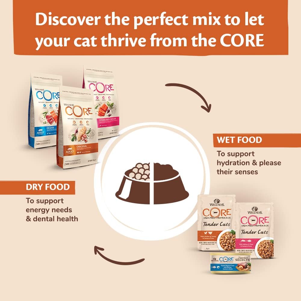 wellness core sterilised original 4 kg, chicken & turkey – dry cat food for sterlised/indoor cats, grain free, natural, hypoallergenic, protein rich, supports healthy weight management wellness core sterilised original 4 kg, chicken & turkey – dry cat food for sterlised/indoor cats, grain free, natural, hypoallergenic, protein rich, supports healthy weight management