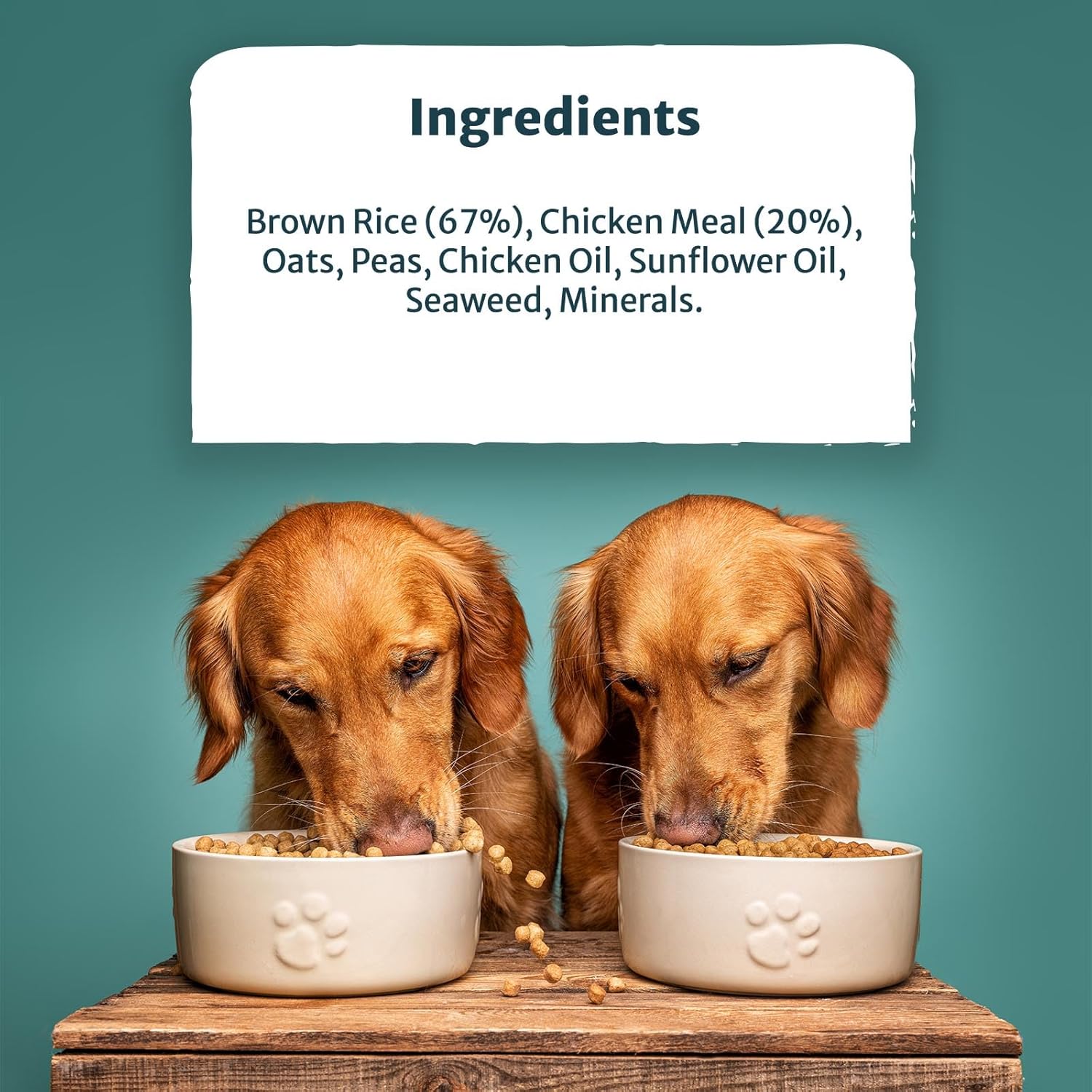 burns pet nutrition hypoallergenic complete dry dog food adult and senior dog original chicken and brown rice 12 kg burns pet nutrition hypoallergenic complete dry dog food adult and senior dog original chicken and brown rice 12 kg