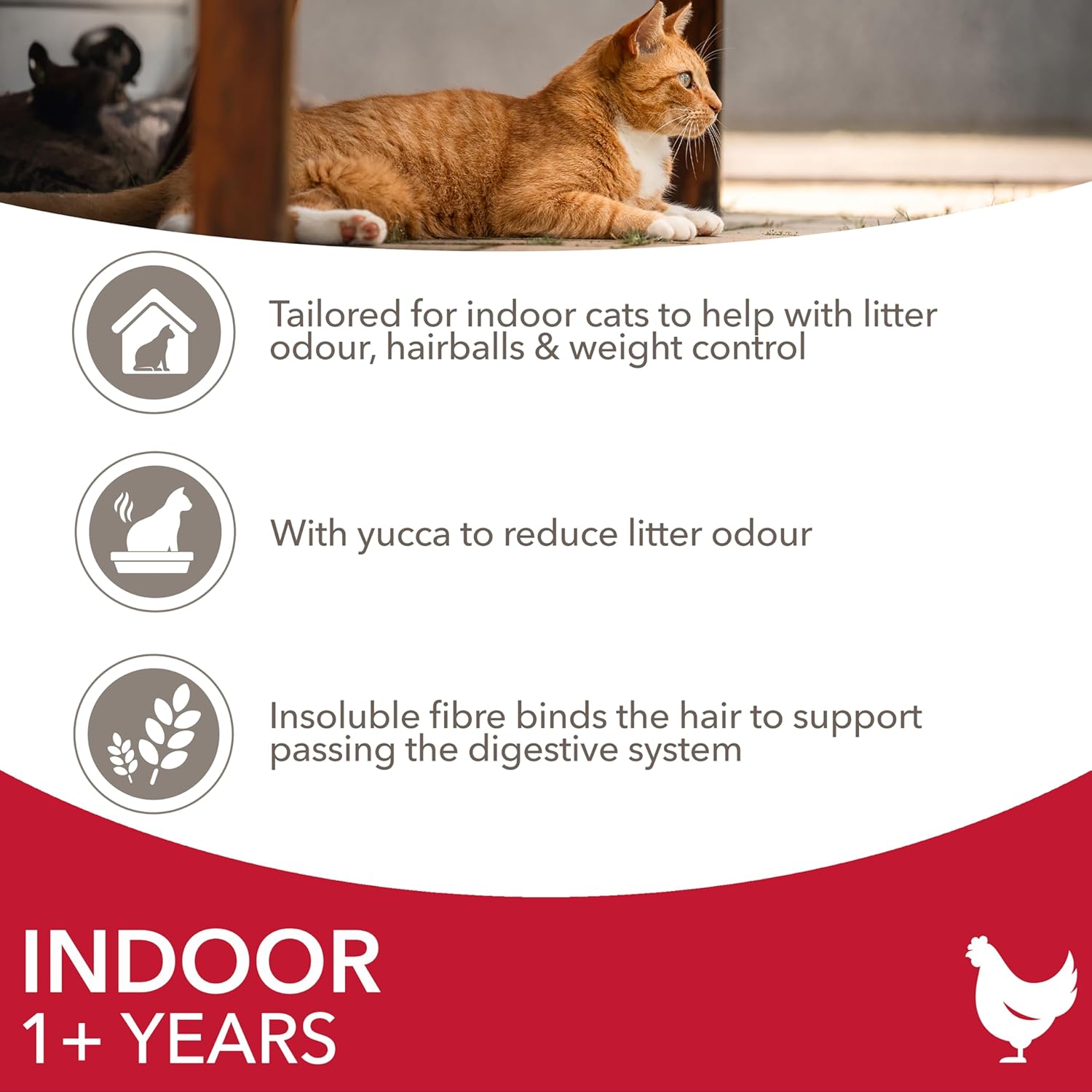 iams indoor complete dry cat food chicken 10kg litter odour control, hairballs & weight management iams indoor complete dry cat food chicken 10kg litter odour control, hairballs & weight management