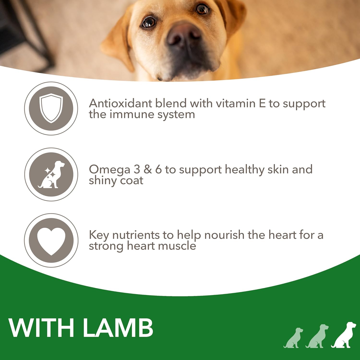 iams adult large complete dry dog food lamb 12kg with dentalcare system iams adult large complete dry dog food lamb 12kg with dentalcare system