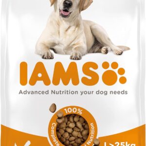 iams senior large complete dry dog food chicken 12kg with dentalcare system