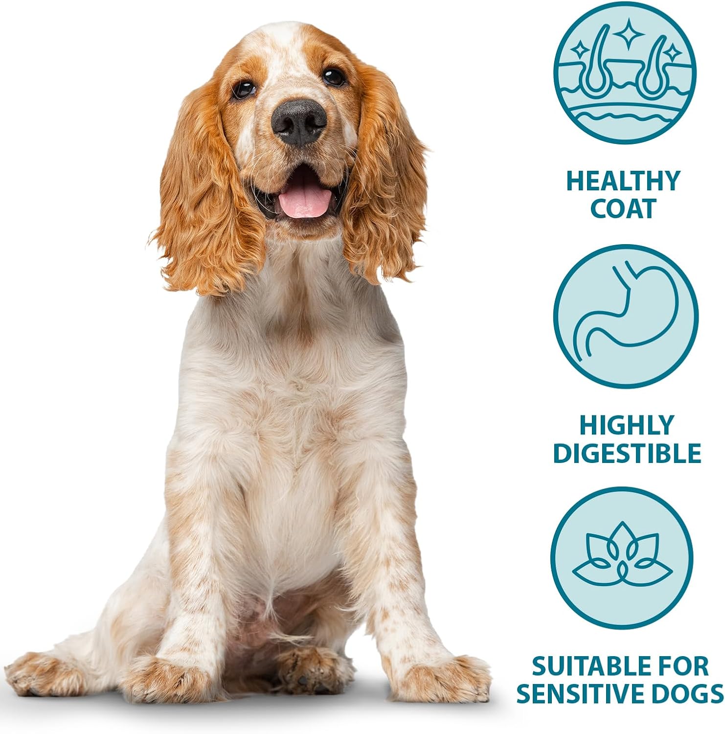burns pet nutrition hypoallergenic complete dry dog food adult and senior dog sensitive with pork and potato 12 kg burns pet nutrition hypoallergenic complete dry dog food adult and senior dog sensitive with pork and potato 12 kg