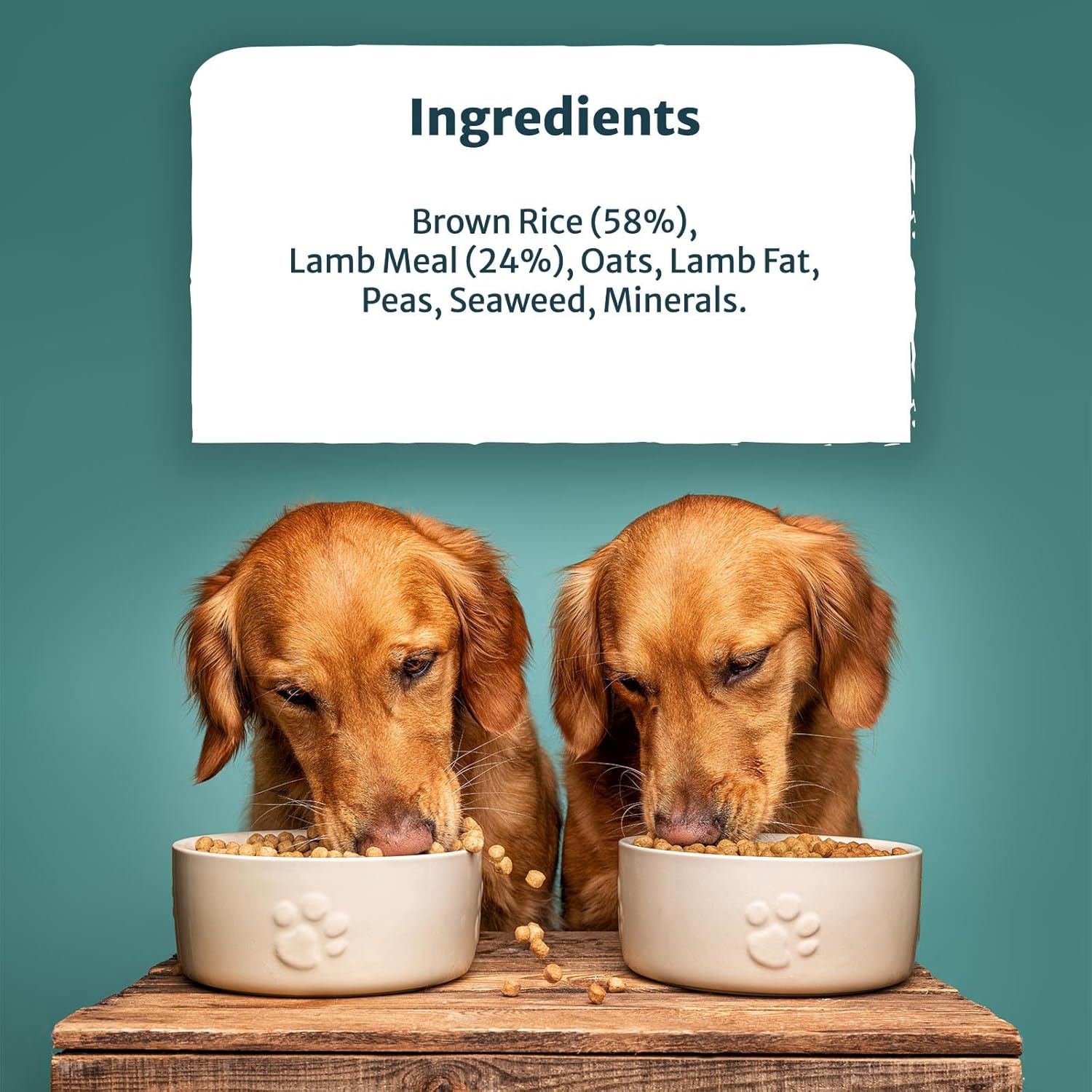 burns pet nutrition hypoallergenic complete dry dog food adult and senior dog original lamb and brown rice 12 kg burns pet nutrition hypoallergenic complete dry dog food adult and senior dog original lamb and brown rice 12 kg