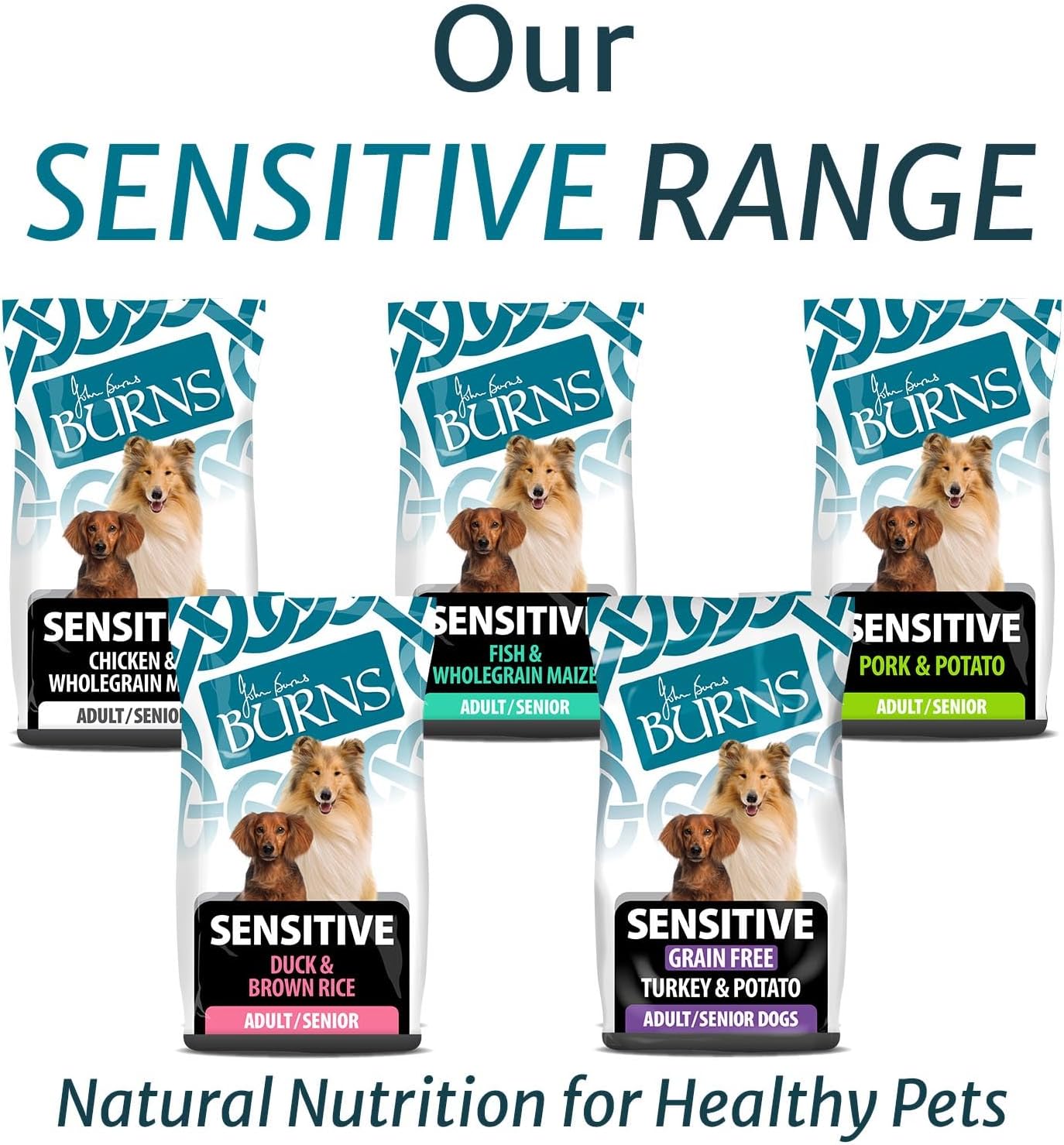burns pet nutrition hypoallergenic complete dry dog food adult and senior dog sensitive with pork and potato 12 kg burns pet nutrition hypoallergenic complete dry dog food adult and senior dog sensitive with pork and potato 12 kg