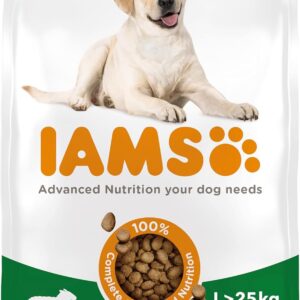 iams adult large complete dry dog food lamb 12kg with dentalcare system