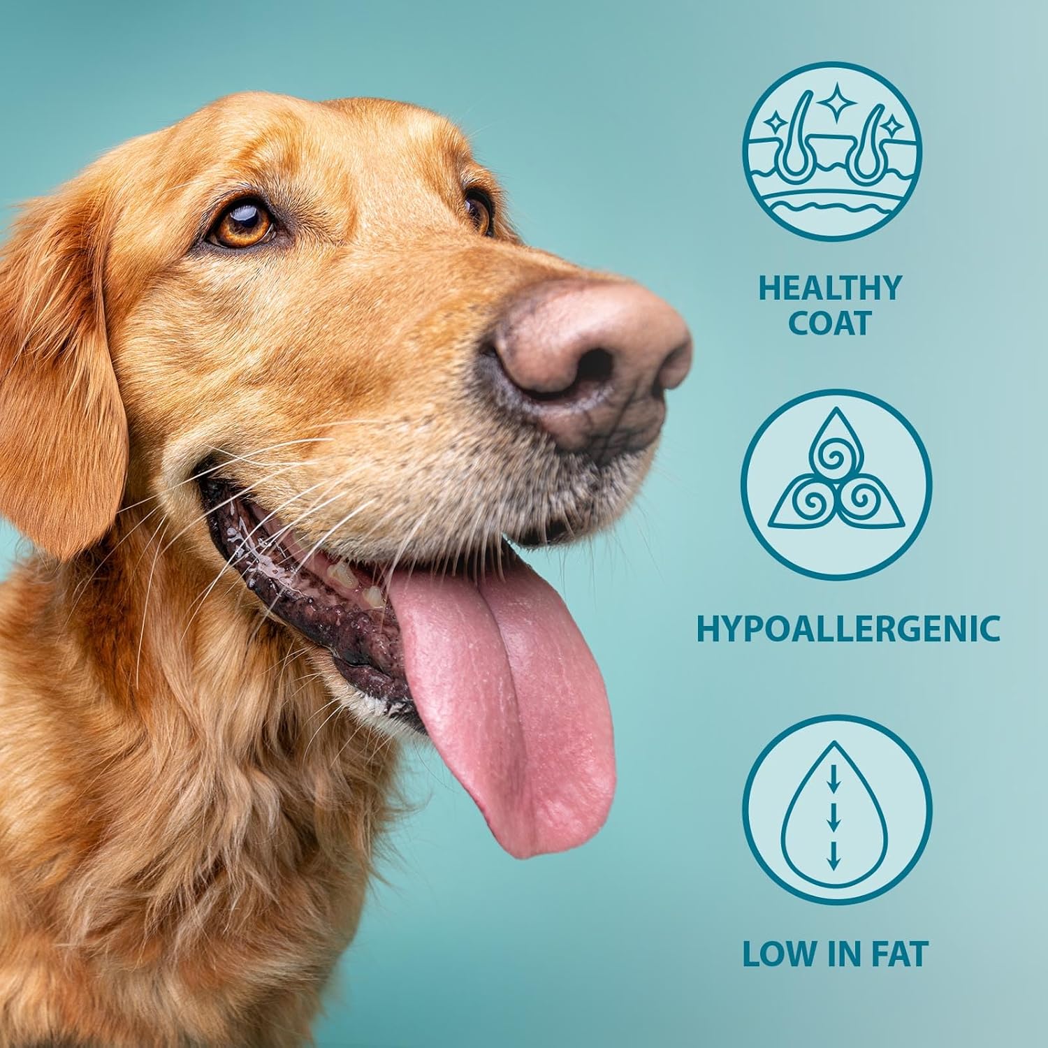 burns pet nutrition hypoallergenic complete dry dog food adult and senior dog original lamb and brown rice 12 kg burns pet nutrition hypoallergenic complete dry dog food adult and senior dog original lamb and brown rice 12 kg