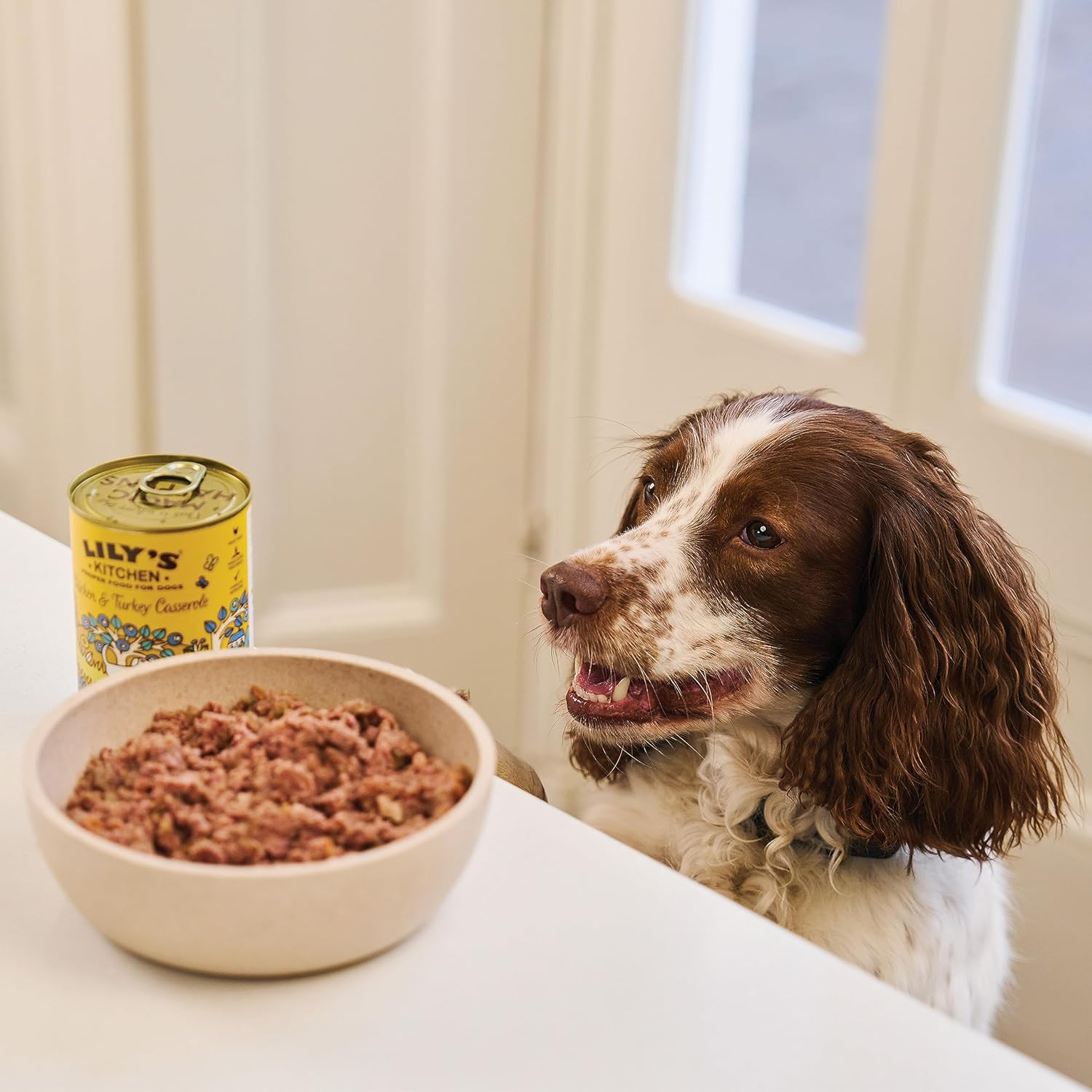 lily's kitchen natural adult wet dog food tins classic dinners variety pack 12 x 400g lily's kitchen natural adult wet dog food tins classic dinners variety pack 12 x 400g