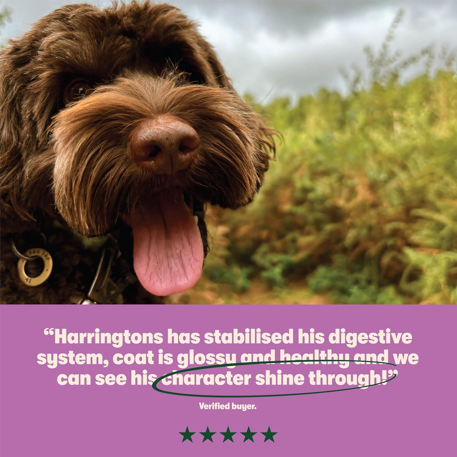 harringtons complete dry adult dog food lamb & rice 18kg made with all natural ingredients (packaging may vary) harringtons complete dry adult dog food lamb & rice 18kg made with all natural ingredients (packaging may vary)