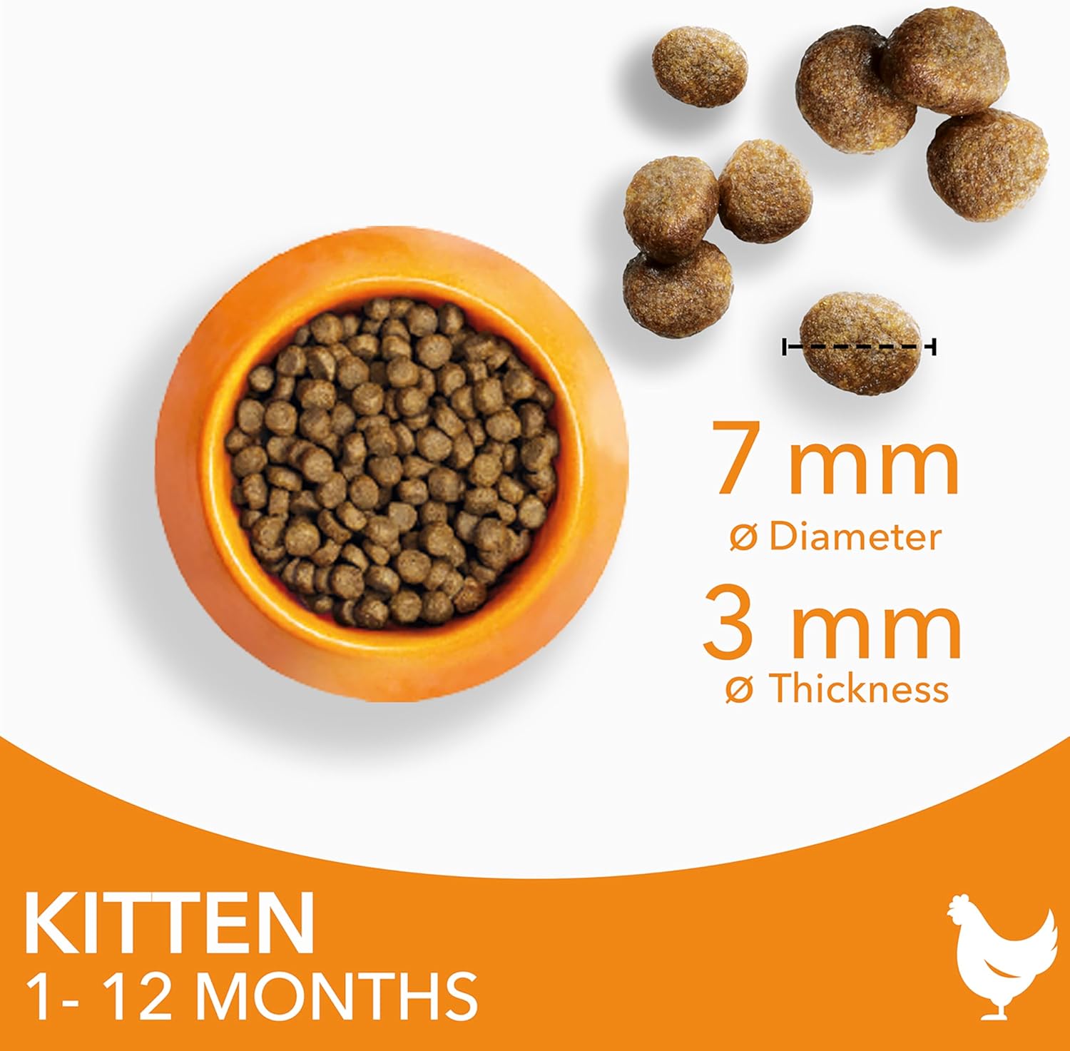 iams kitten complete dry cat food chicken 10kg for healthy growth iams kitten complete dry cat food chicken 10kg for healthy growth