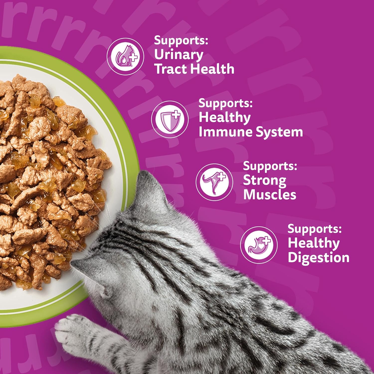 whiskas adult wet cat food in jelly 84x85g mixed menu whiskas adult wet cat food in jelly 84x85g mixed menu
