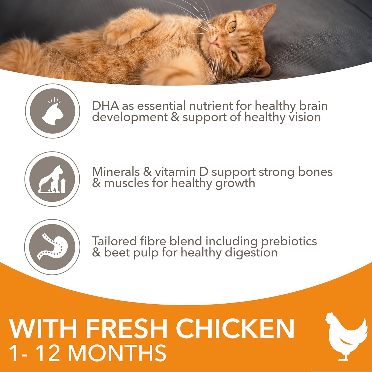 iams kitten complete dry cat food chicken 10kg for healthy growth iams kitten complete dry cat food chicken 10kg for healthy growth