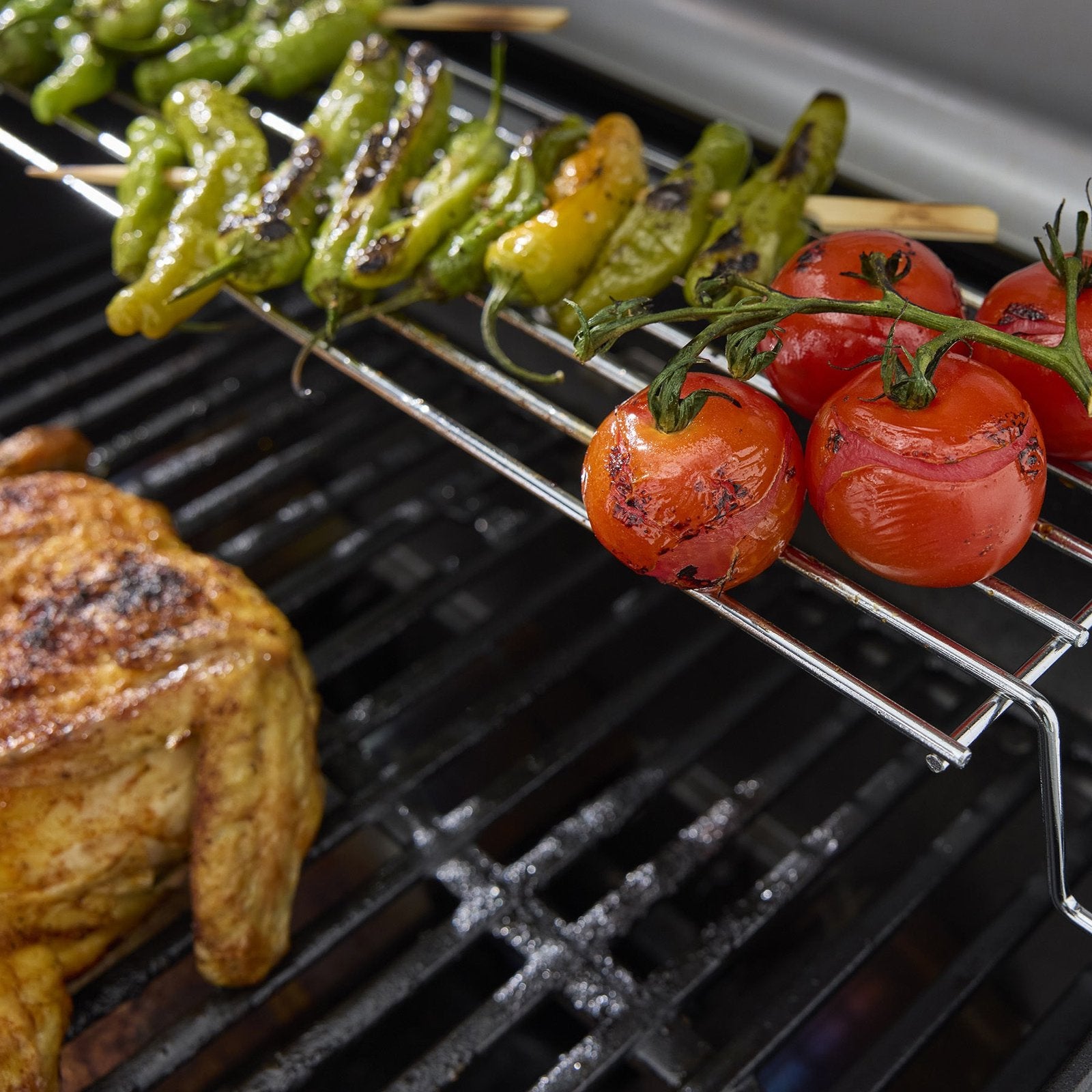 spirit® ex 425c smart gas grill (liquid propane) spirit® ex 425c smart gas grill (liquid propane)